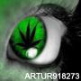 Avatar użytkownika Artur918273
