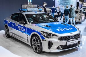 Poznań Motor Show 2019 - samochody marzeń i nie tylko | zdjecie 21