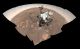 Selfie łazika Perseverance na Marsie to kawał dobrej fotograficznej roboty. Nie śmiejcie się z niego
