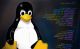 Linux obchodzi 30. urodziny – sukces systemu w dużej mierze zależał od jednej decyzji