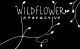 Wildflower Interactive – nazwa warta zapamiętania