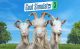 Recenzja Goat Simulator 3. Śmierć, strach i babcia z wyrzutnią włóczki