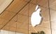 Apple pokazało nowego HomePoda 2. generacji. Nie brakuje rozczarowań