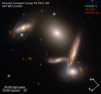 galaxii hCG 40
