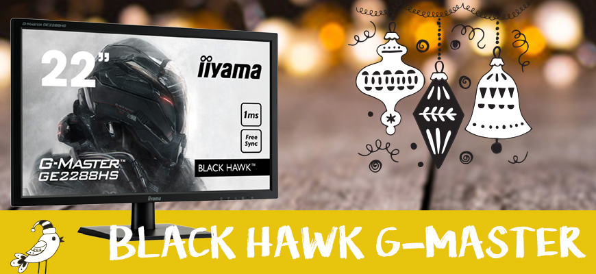 iiyama BLACK HAWK G-MASTER GE2288HS